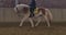 Horse ad