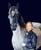 Horse ad