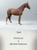 Anuncio de caballos