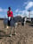 Pferdeinserat
