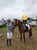 Horse ad