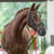 Annuncio cavallo