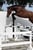 Annuncio cavallo