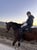 Horse ad