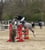 Annuncio cavallo