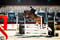 Horse ad