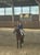 Horse ad