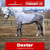 Horse ad