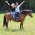 Annuncio cavallo