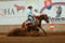 Horse ad