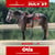 Horse ad