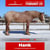 Horse ad
