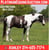 Horse ad