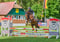 Annuncio cavallo
