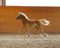 Horse ad