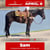 Annuncio cavallo