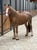 Annuncio cavallo