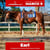 Horse ad