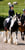 Horse ad