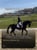 Annonce cheval