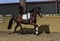 Horse ad