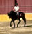 Horse ad