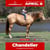 Anuncio de caballos