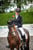 Horse ad