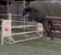 Anuncio de caballos