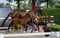 Horse ad