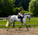 Annuncio cavallo