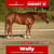 Horse ad