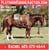 Horse ad