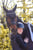 Horse ad
