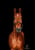 Pferdeinserat