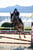Annuncio cavallo