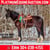 Horse ad