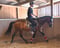 Horse ad
