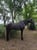 Annuncio cavallo