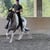 Horse ad