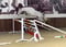 Annuncio cavallo
