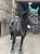 Horse ad