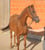 Annuncio cavallo