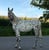 Horse ad