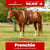 Horse ad