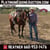 Horse ad