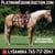 Annuncio cavallo