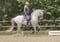 Horse ad