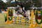 Annuncio cavallo