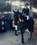 Annuncio cavallo
